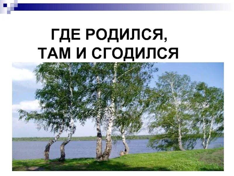 Откуда родился. Где родился там и. Где родился там и пригодился. Где родился там и сгодился. Где ты родился.