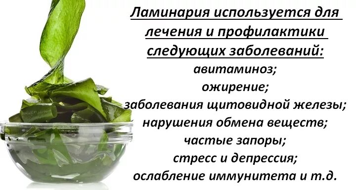Съедобные водоросли. Польза водорослей. Морская капуста полезные свойства и калорийность. Чем полезна капуста. Что полезного в морской капусте.
