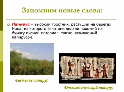 Лексическое слово папирус