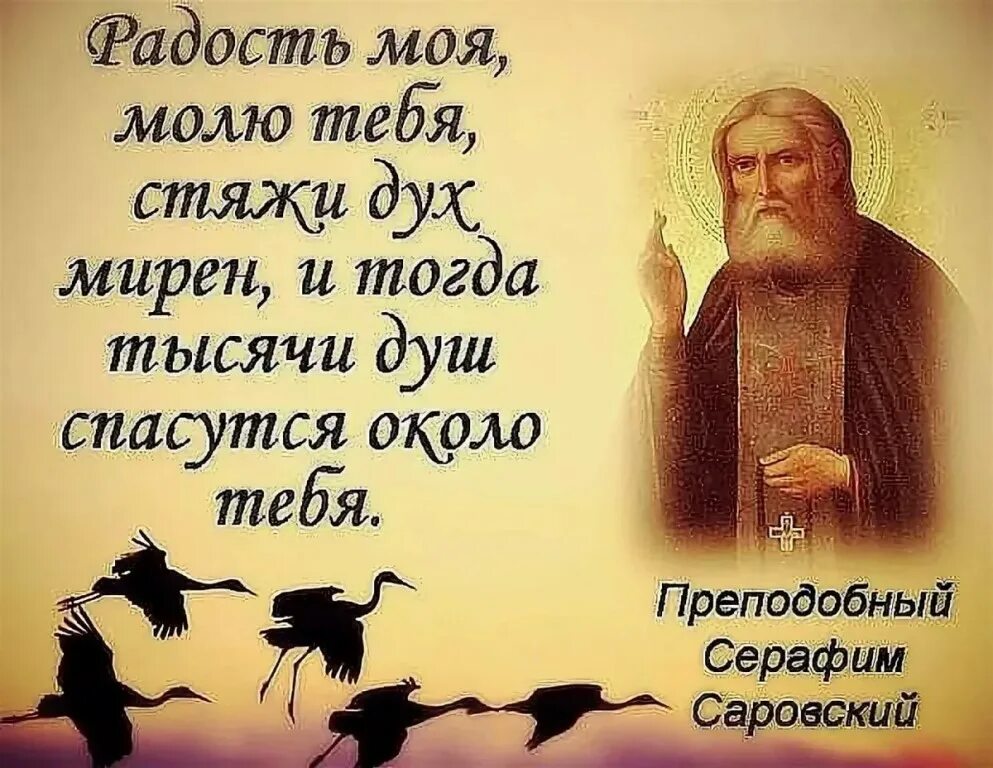 Цитаты серафимы