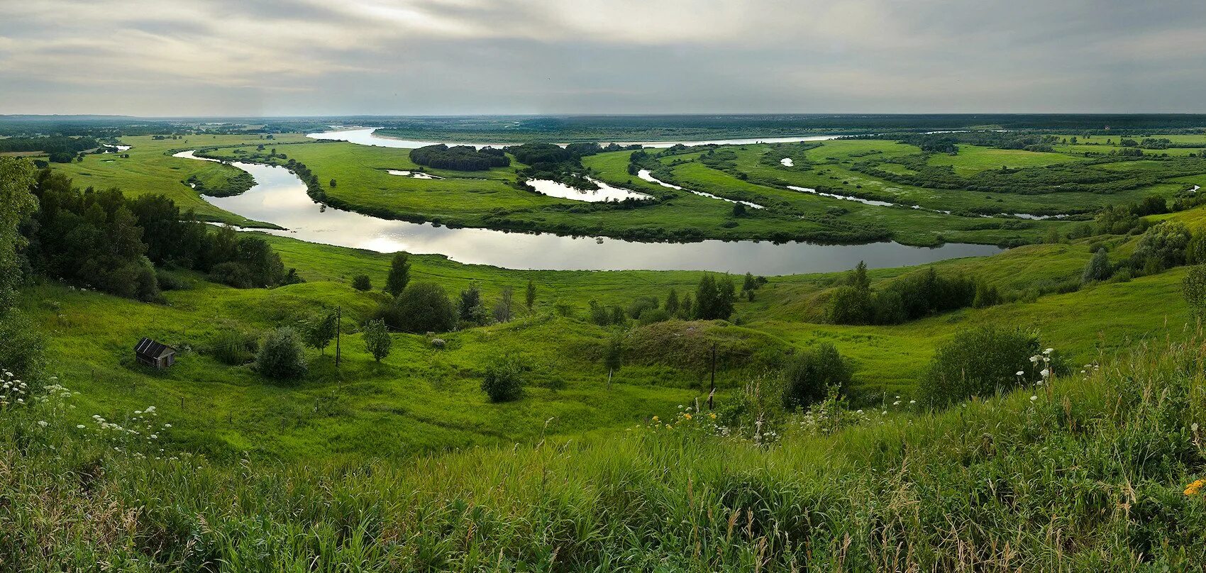 Восточно-европейская равнина река Волга. Пойменные Луга Татарстана. Пойма реки Волга. Пойма реки Ока.