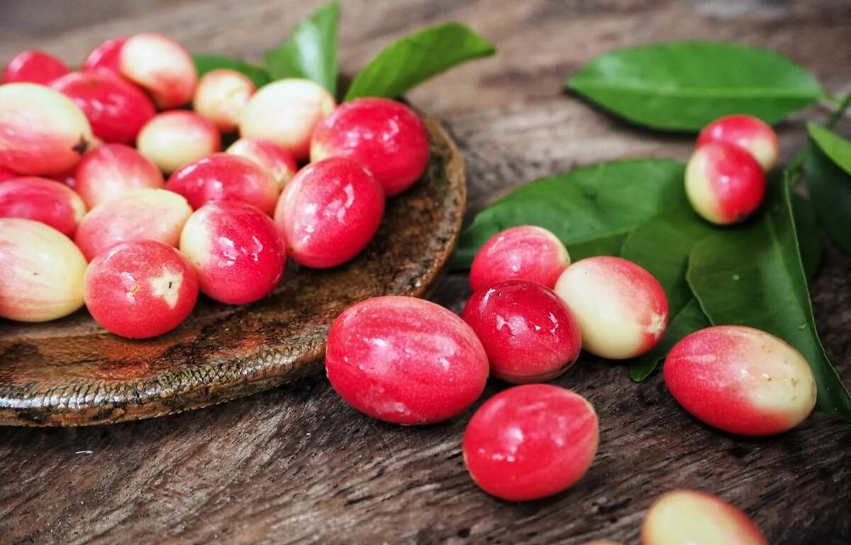 магический фрукт. магический фрукт. магический фрукт (synsepalum dulcificum). магический фрукт – синсепалум. ягода путерия.