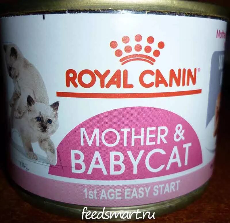 Royal canin babycat. Консервы бэби Кэт Роял Канин. Royal Canin Babycat паштет. Роял Канин бэби Кэт мусс.