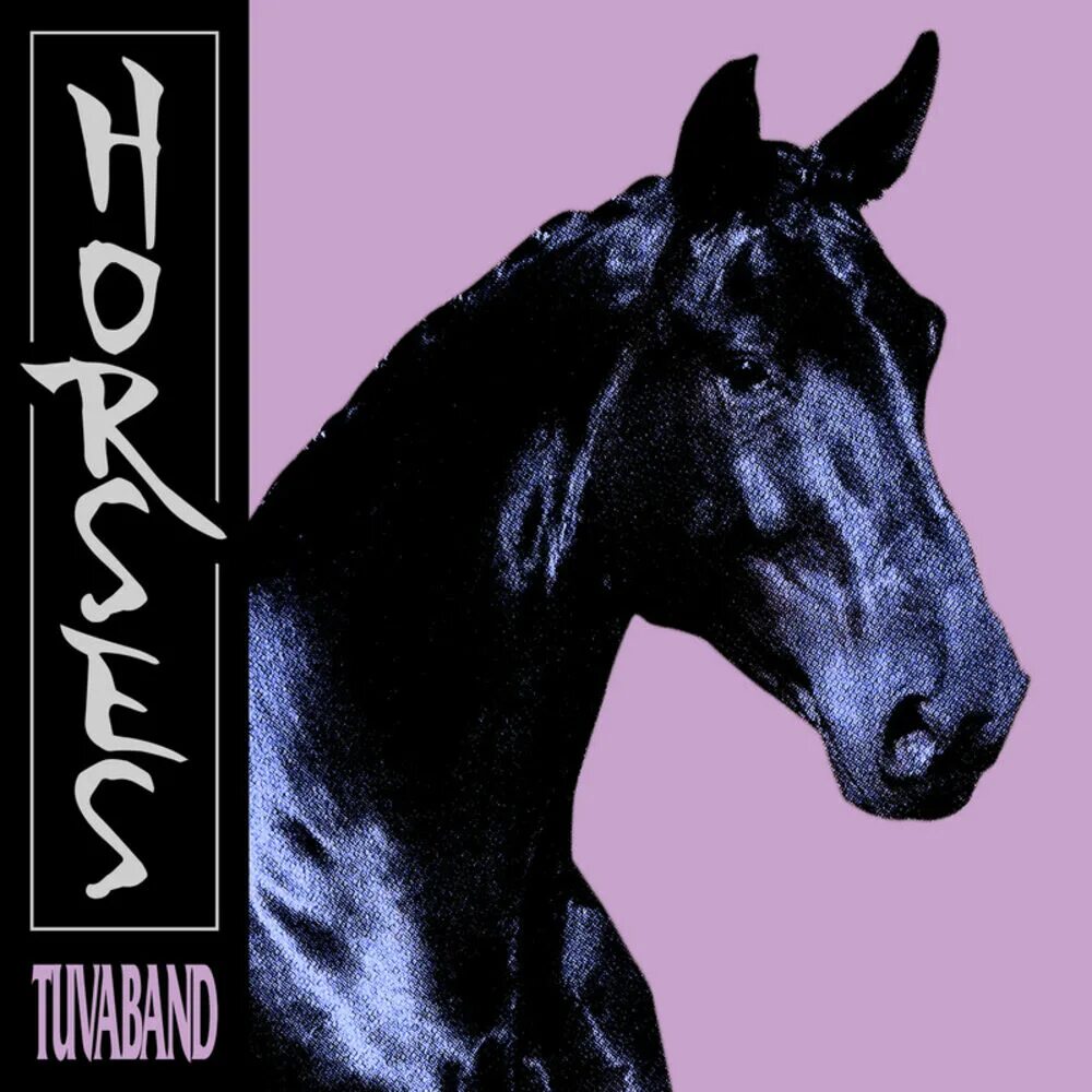 Tuvaband. Horse музыкальный альбом. Хорс исполнитель. "Tuvaband" "i entered the Void".