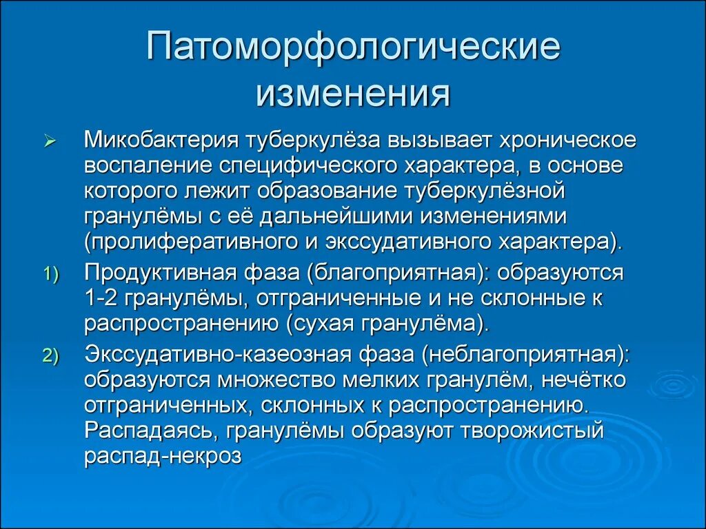 Форма полипа желчного пузыря. Полипы желчного пузыря классификация. Холестериновые полипы в желчном пузыре.