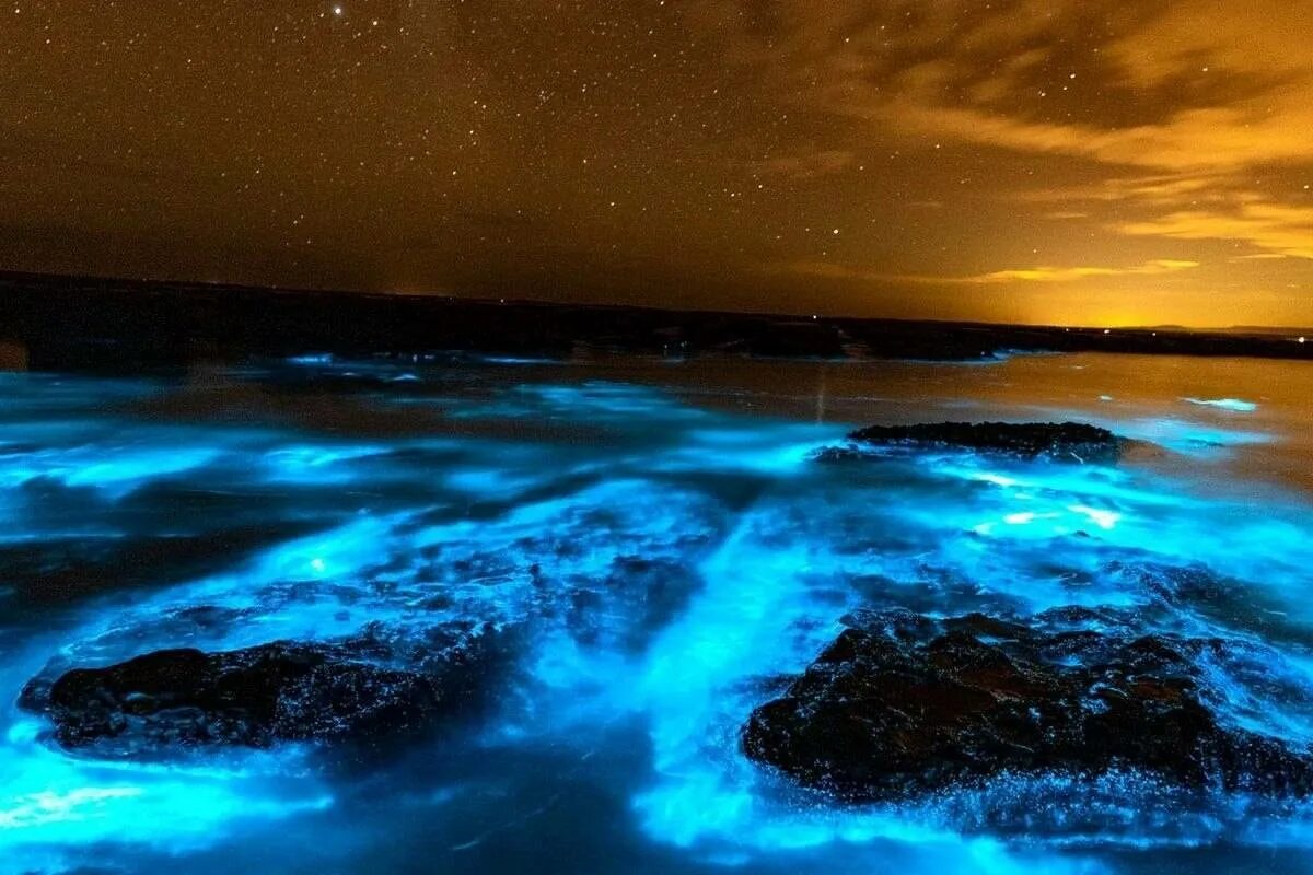 Glowing beach