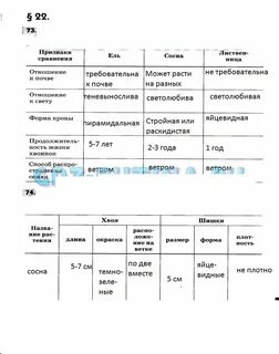 Биология 5 класс учебник стр 25 таблица