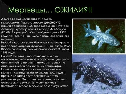 Обоснуйте эволюционное значение кистеперых