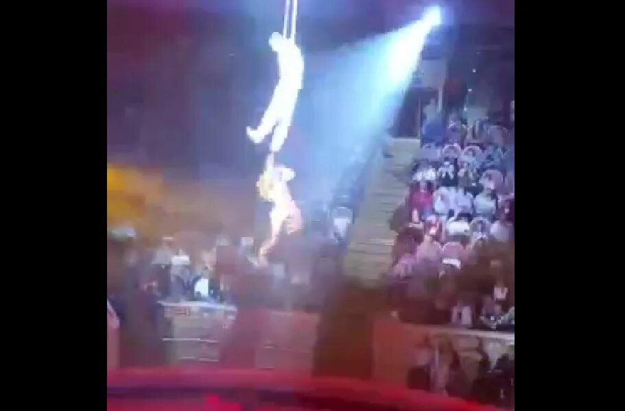 Воздушные гимнасты в цирке. Арена цирка с высоты. Выступление цирк в Ярославль. Артистка упала