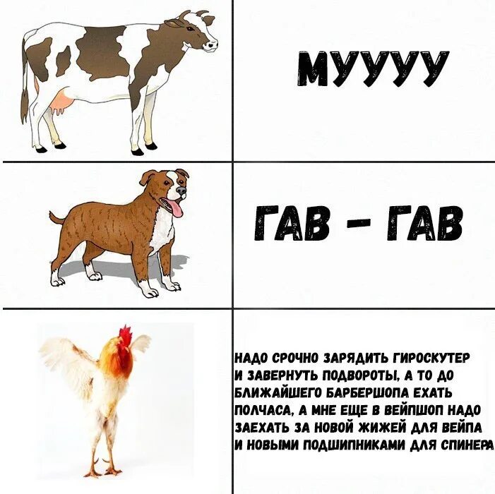 Гав! Гав!. Собака говорит Гав Гав. Собака Гав-Гав карточка. Гав Гав Гав Гав Гав Гав Гав Гав Гав Гав Гав Гав Гав Гав. Щенок какие звуки