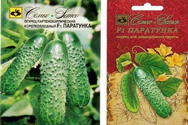Огурцы Огурцы партенокарпические