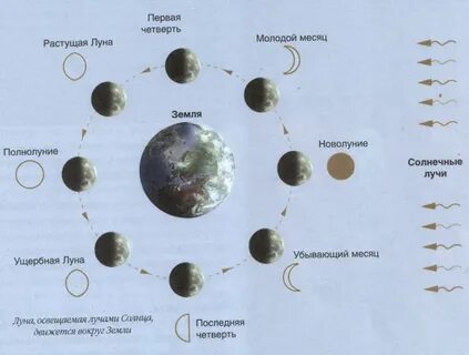 Как определить растущий месяц