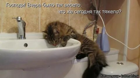 Если бы вчера было сегодня