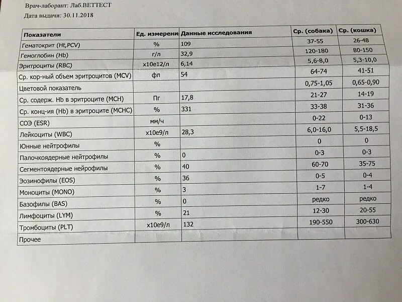 Анализ крови соэ 4