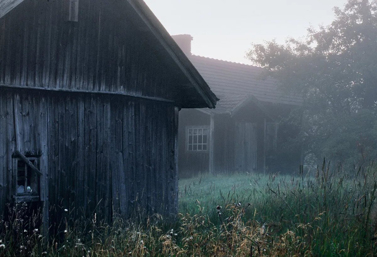 Gloomy village. Страшная деревня. Страшный дом в деревне. Жуткая деревня. Темная деревня.