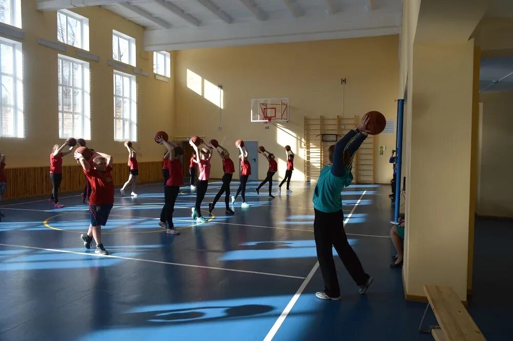 Физическое воспитание в спортивных школах