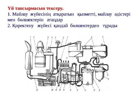 Көйлектер мен шұлықтардағы сексуалды қыздар
