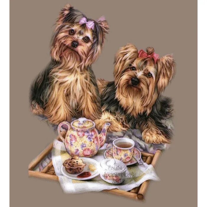 Йоркширский терьер открытка. Собачки йорки с добрым утром. Йоркширский терьер со щенками. Открытки с изображением собак.