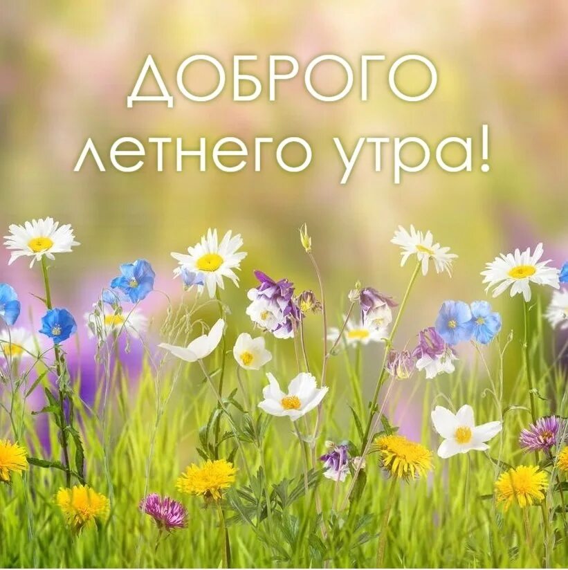 12 мая доброе утро. Доброе утро субботы. открытки с добрым субботним утром. с дрбрым чубботним у ррм. с до рым субботним утром.