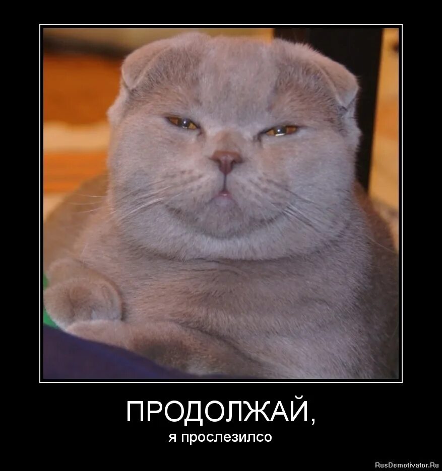 Джин уайлдер мем. Прекрати продолжай. Ну ну продолжай. Ой ну прекрати продолжай мем. Ой ну перестань мем.