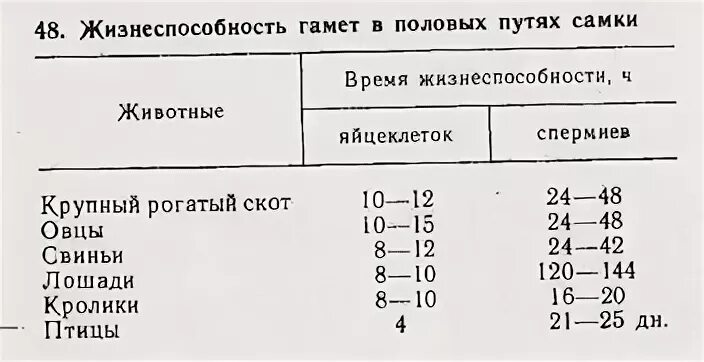 Половая зрелость у разных видов животных. Выживаемость спермиев в половых путях самки. Половая зрелость у самок сельскохозяйственных животных. Половая зрелость КРС.