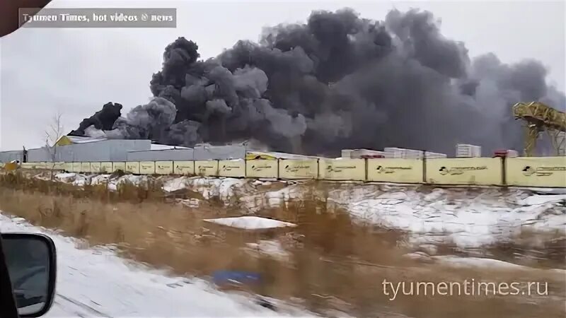 Сургут федоровский автобус