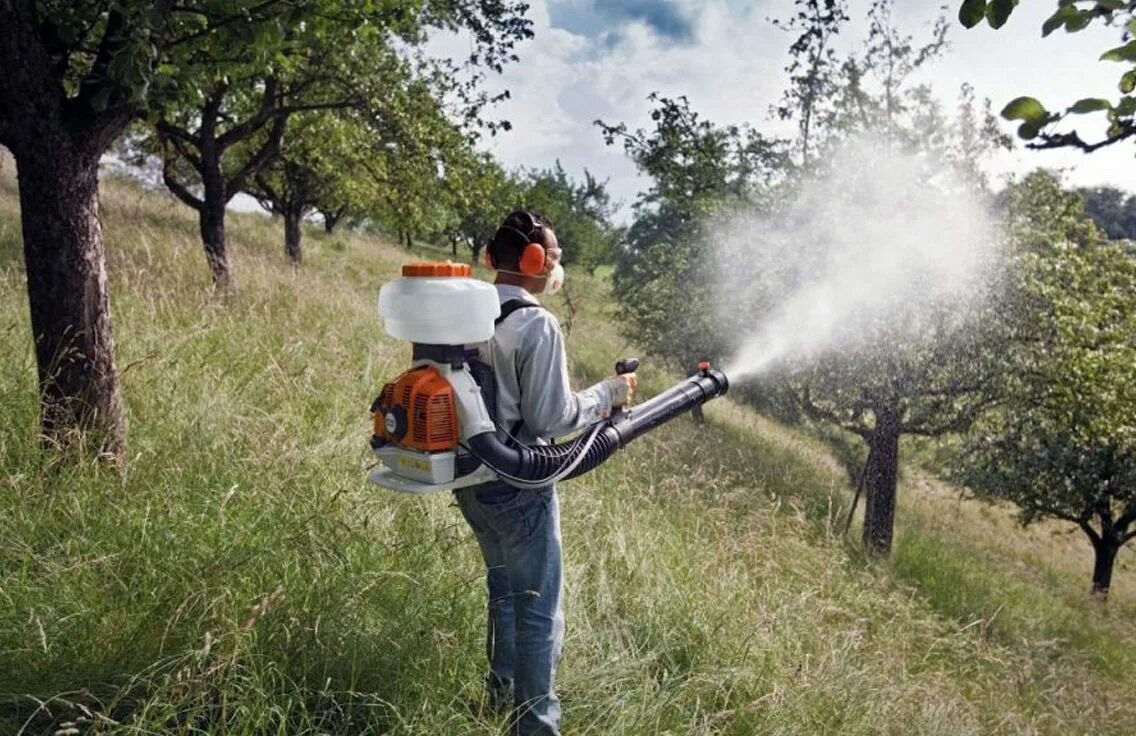 Какой опрыскиватель деревьев лучше. Бензиновый опрыскиватель stihl sr 450. штиль для обрызгивания деревьев. опрыскиватель для обработки участка. распылитель для обработки деревьев.