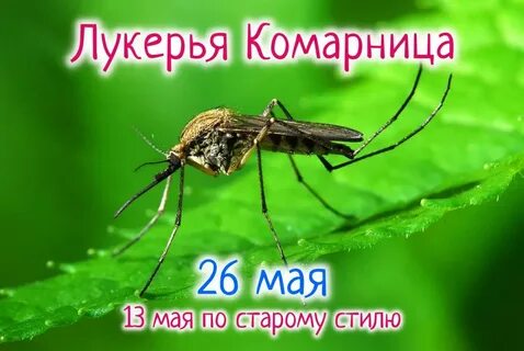 Когда будет 26 мая