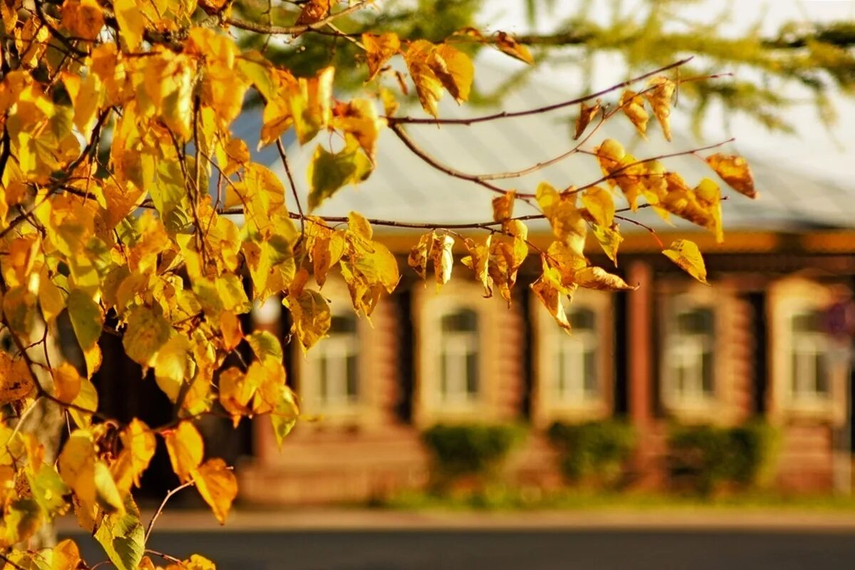 Какая теплая осень в этом году. Тёплая осень. Теплой осени картинки. Теплая осень фото. Осенняя красота город тепло.