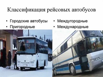 Городской и пригородный транспорт виды
