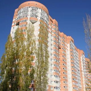 Ломоносов 114