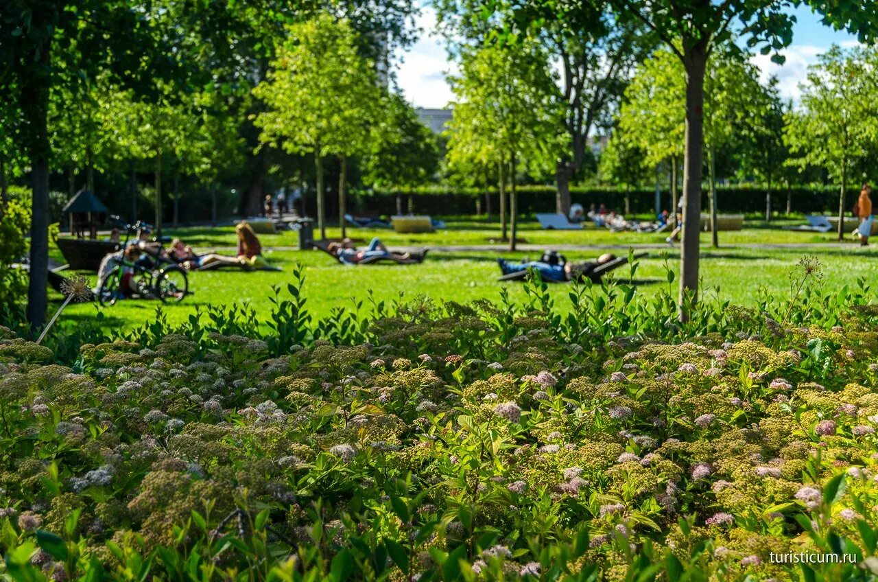 Present park. Парк зарядье 2022. Present park. Картинка ло я описания. Дилиман.