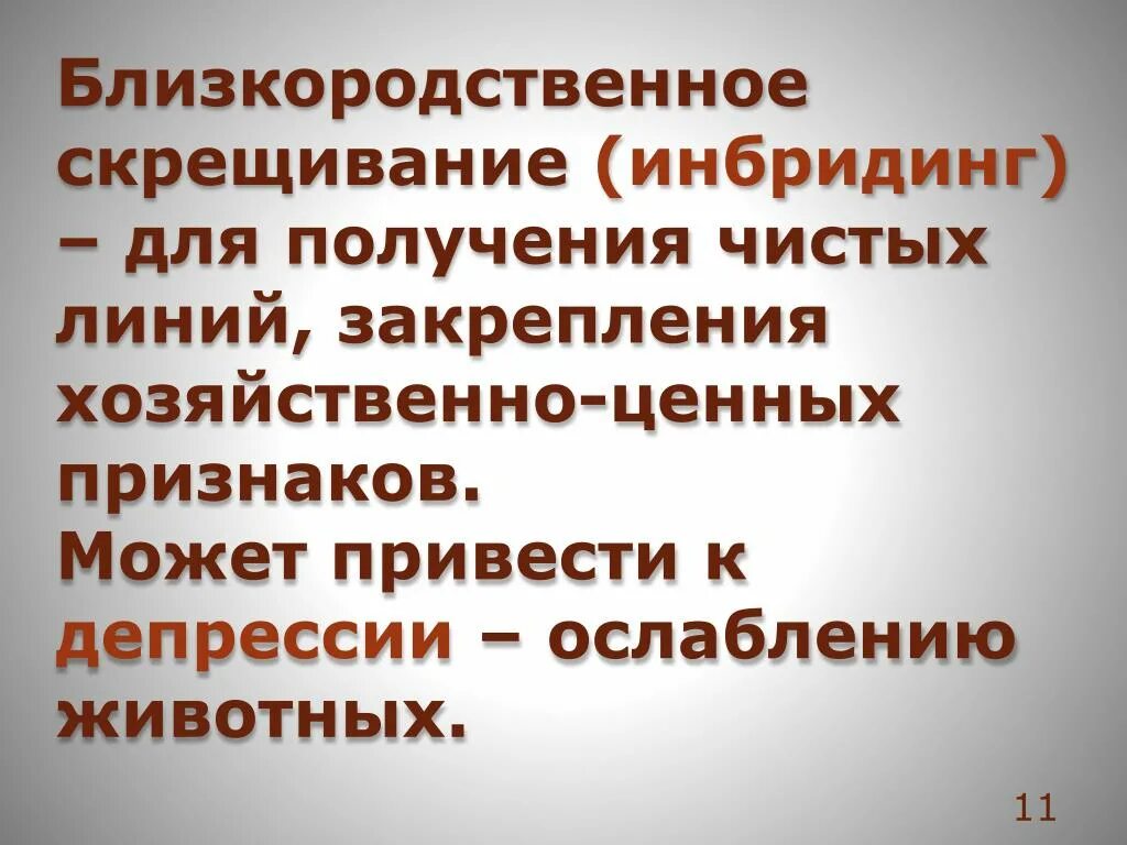 Гибридизация близкородственное скрещивание. Близкородственное скрещивание. Близкородственное скрещивание для получения чистых линий. Близкородственное скрещивание примеры. Инбридинг.