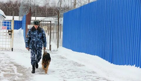 Производство уголовно исполнительной системы