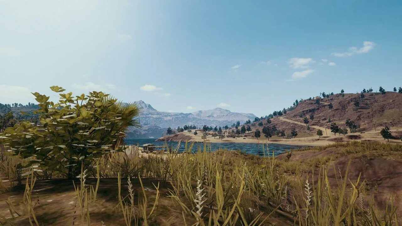 Pubg net. Мирамар пубг фон. пабг мирамар обои. мирамар пабг пк скриншоты. pubg ландшафт.