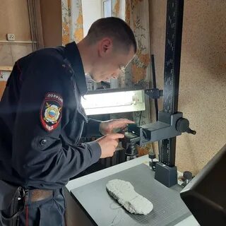 Подразделение экспертиз
