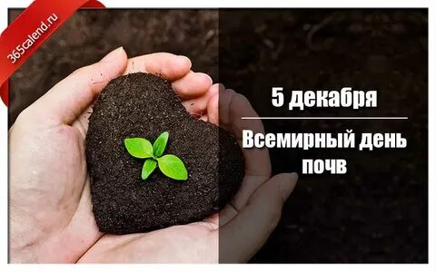 Мировые почвы