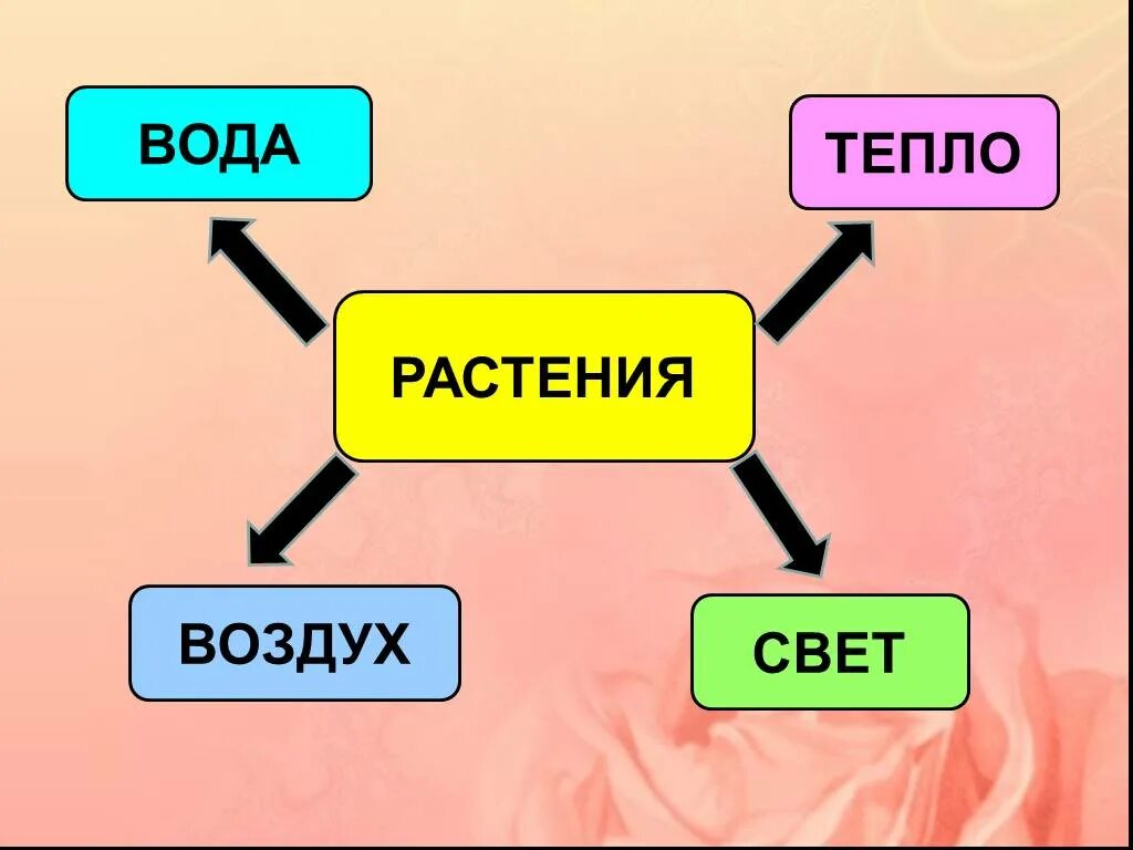 Презентация свет и тепло. Вода свет воздух тепло. Воздух,тепло,почва,свет, вода. Свет тепло вода почва. Вода тепло свет для растений.