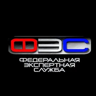 Федеральная экспертная служба