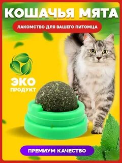 Кошачье лакомство с мятой