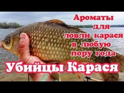 Какие запахи любит карась