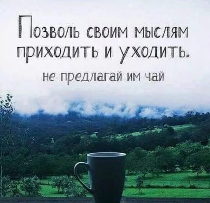 Приходят плохие мысли. Позволь своим мыслям приходить и уходить не предлагай им чай. Цитаты про чай. Афоризмы про чай и чаепитие. Умные высказывания про чай.