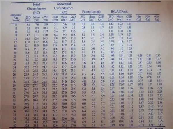 Беременность окружность головы. Нормы фетометрии плода. Окружность головы плода по неделям беременности норма таблица. Размеры желудка у плода. Норма длины бедра плода по неделям.