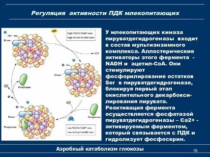 Пдк биохимия