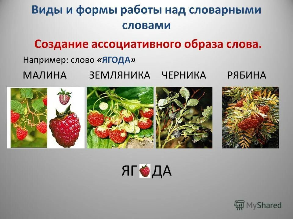 предложение со словом земляника 2 класс. придумай предложения клубника. предложение со словом земляника 2 класс. этимология слова земляника. предложение со словом земляника 2 класс.