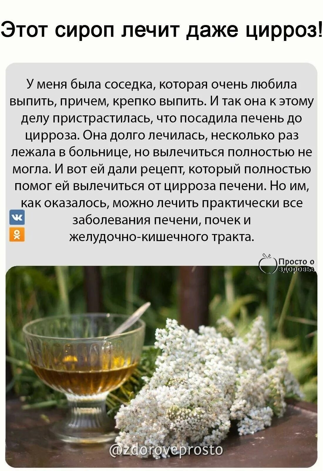 Рецепты от аденомы. Рецепты народной медицины. травы при циррозе. травы от цирроза печени. травы для печени при циррозе.