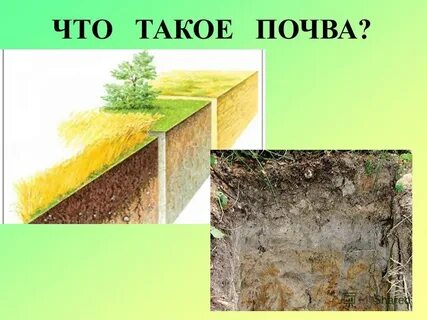 Что такое почва видео 3 класс