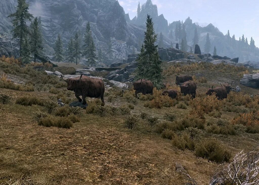 Wildlife моды. Скайрим real Wildlife мод. Просторы Скайрима. Скайрим природа. Skyrim просторы.