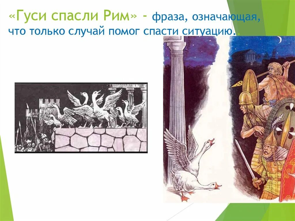 Что означает выражение гуси рим спасли. Гуси Рим спасли Крылатое выражение. Гуси спасли Рим Легенда. Как гуси Рим спасли.