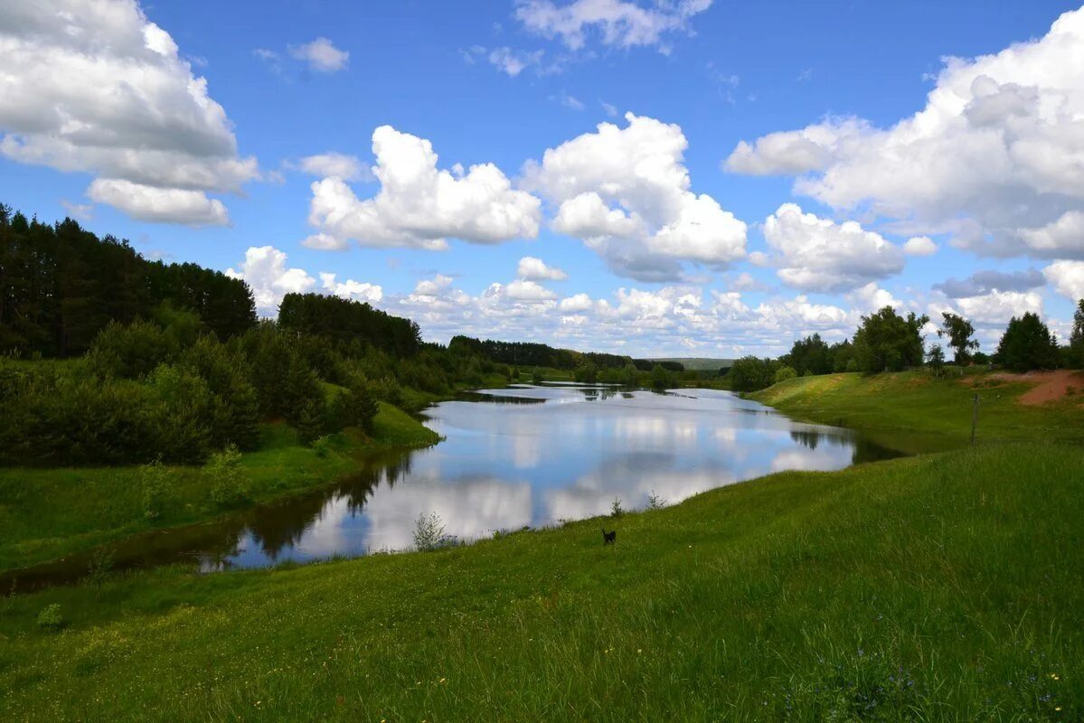 Птичий полет. Красоты чувашии. Красивая природа чувашии. Красоты чувашии. Республика чувашия природа.